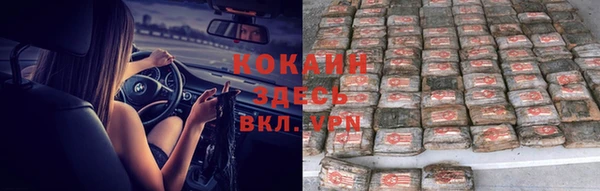 сатива Богородицк
