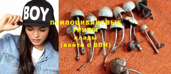 mdpv Богданович