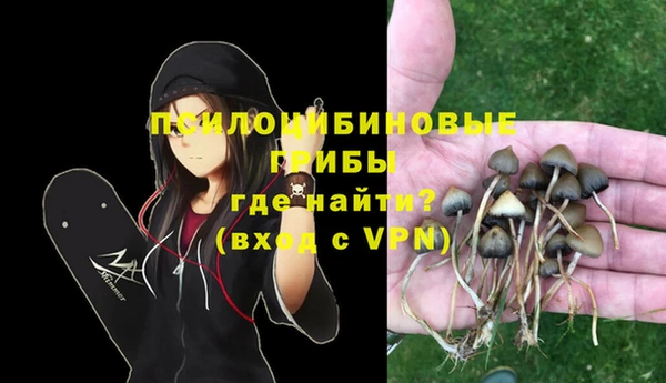 mdpv Богданович