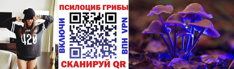 площадка как зайти  Череповец  Псилоцибиновые грибы мицелий 
